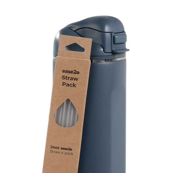 Ease2o Straws 4 Pack 24oz B3